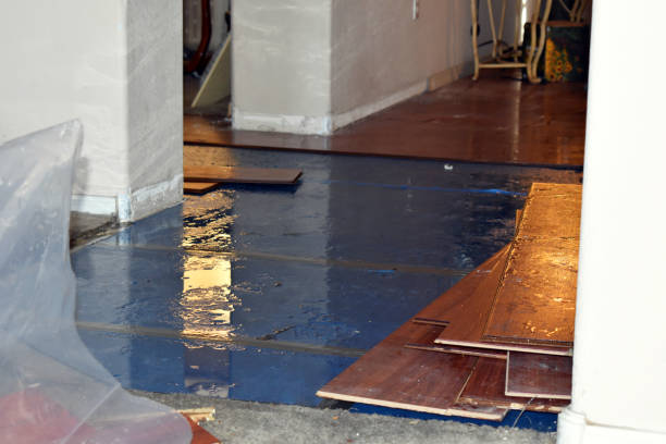 Professional Water Damage technician working in Telephone, TX