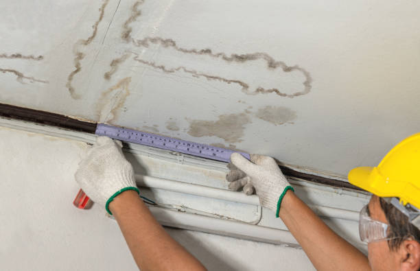 Reliable Water Damage contractor in Telephone, TX by Water Damage Irwin